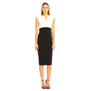 New Ted Baker Black and White Bodycon Dress, Color Block, Elegant